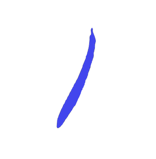 Seed